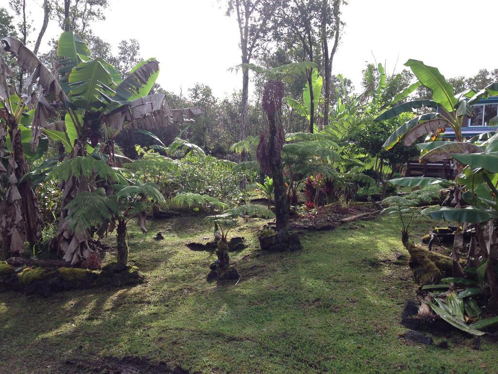 Honu Hale Villa Volcano Exterior photo